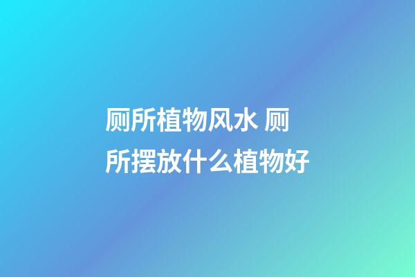 厕所植物风水 厕所摆放什么植物好